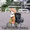 el gordo - @sergiosamano15 - TikTok
