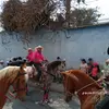 Sergio Solares - @sergio.solares0 - TikTok