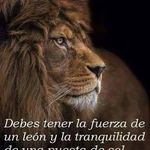 Sergio Solorio - @sergio.solorio.12 - Instagram