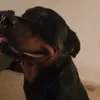 Sergiostevenson231 - @sergiostevenson23 - TikTok