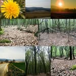 Sergio Serg Stone - @sergio.stone - Instagram