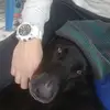 Sergio Tabares - @sergio.tabares8 - TikTok