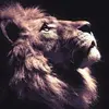 Sergio Tellez - @sergio.tellez1 - TikTok