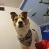 Sergio Tellez - @sergiotellez824 - TikTok