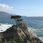 Sérgio Edilberto Zimmermann - @serzimm - Instagram