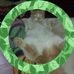 Serina Collins - Facebook