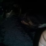 Servando Galvan - @ser58van19 - Instagram