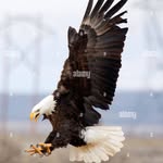 Seth Abraham - @sethabraham25 - Instagram