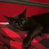 sethabraham6 - @sethabraham6 - TikTok