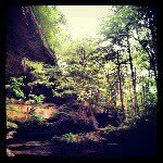 Artistic Freedom Prospers - @seth_arroyo - Instagram