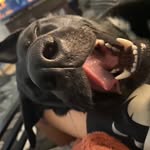 Seth Arroyo - @minnymuffenboy - Instagram