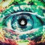 Seth Avila - @smokey_5280 - Instagram