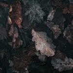 seth vora - @seth_awesome01 - Instagram