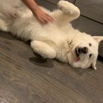 Seth Ayers - @s_o_u_p_b_r_u_v - Instagram