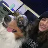 Seth Bachlet - @sethbachlet - TikTok