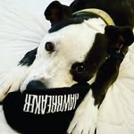 seth - @sethbachi - Instagram