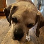 Seth Bain - Facebook