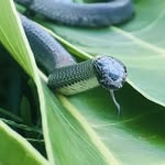 Seth Ballinger - @sethballinger69 - Instagram