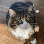 Seth Barbee - @seth.barbee - Instagram