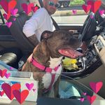 Seth Barringer - @seth_barringer - Instagram