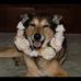 Seth Barry - Facebook