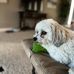 Seth Baskett - Facebook