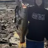 Seth Bearden - @sethbearden_ - TikTok