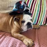 Seth beardmore - @seth.beardmore - Instagram