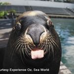 Seth - @seth_beardsly - Instagram