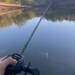 Seth Bearden - Facebook