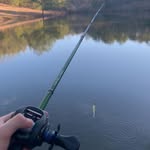 Seth Bearden - @the_sethb - Instagram
