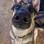 Seth Beasley - @seth.b.3 - Instagram