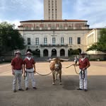 Seth Beavers - @sethbeavers1 - Instagram