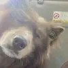 Seth Becker - @sethbecker117117 - TikTok