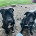 Seth Beecher - Facebook