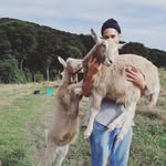 Seth De Beer Smith - @seth.in.syntropy.aotearoa - Instagram