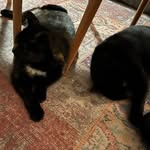 Seth - @seth_beer_turtle_poes - Instagram