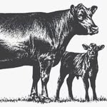 Seth Behrens - @behrenslivestock - Instagram