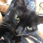 Seth Benoit - @pics_of_cute_animals_i_took - Instagram