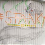 Zac Sinopoli Seth Bentley - @stankyscooters - Instagram