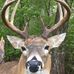 Seth Bergeron - Facebook