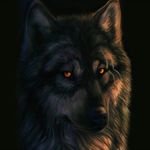 Seth Berry - @seth.berry - Instagram