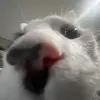 Seth_BEST - @seth_best2028 - TikTok