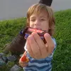 seth lol - @thebestseth - TikTok