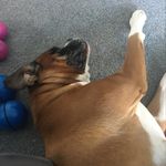 Seth - @sethbest - Instagram