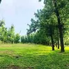 Seth Butos - @seth.butos - TikTok