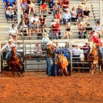 seth thomas brock - @seth_brock_4 - Instagram
