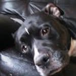 Seth Buckner - @jelly_is_a_rockstar - Instagram