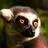 seth_burnett - @seth_burnett - TikTok
