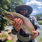 Seth Burnett - @sethburnett - Instagram